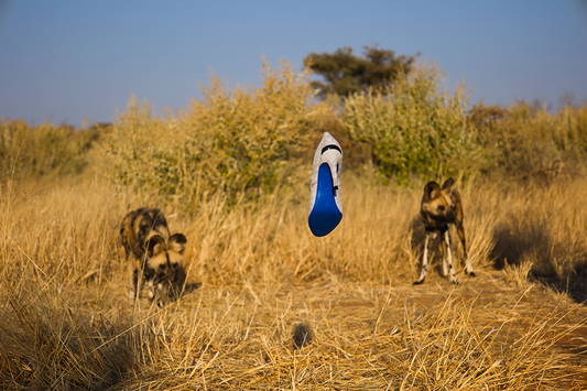 About the African Painted Wolf